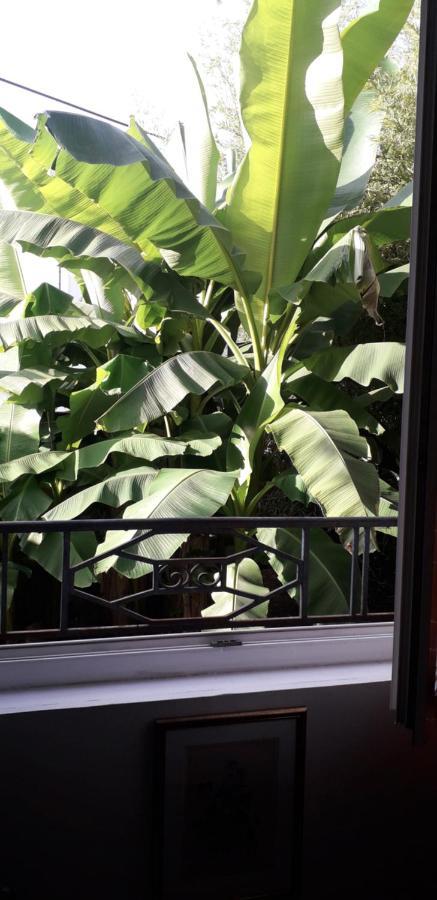 Cote Jardin Bed and Breakfast Périgueux Εξωτερικό φωτογραφία