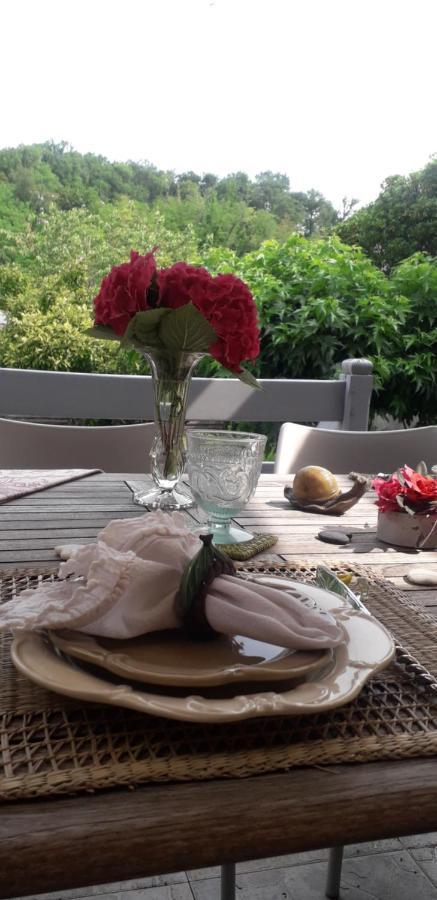 Cote Jardin Bed and Breakfast Périgueux Εξωτερικό φωτογραφία